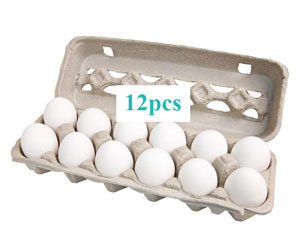 12pcs Egg Carton